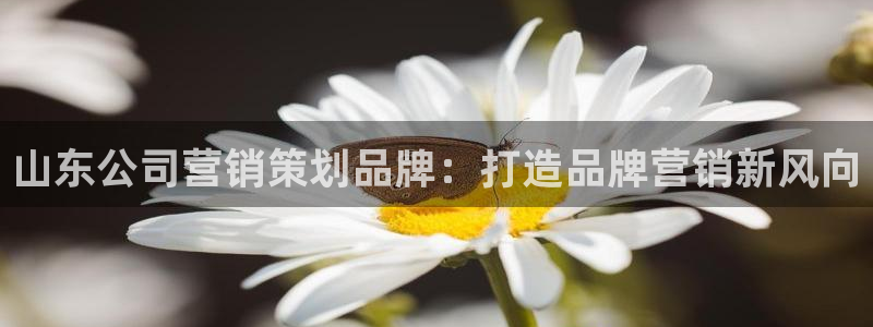 美高梅下载登录