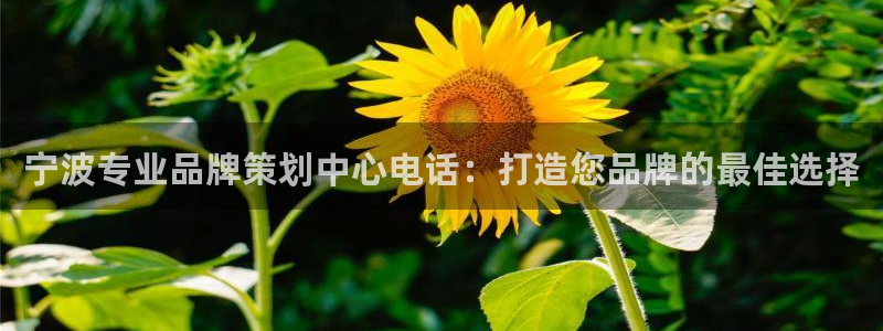 mgm美高梅平台游戏