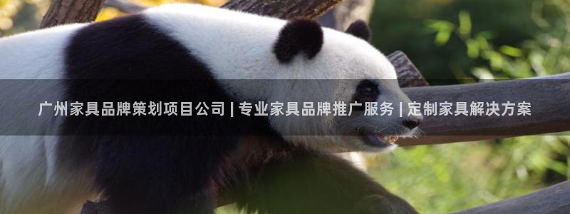 mgm美高梅平台游戏