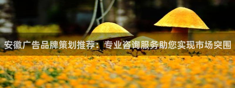 澳门mgm美高梅集团官方网站