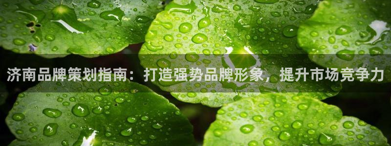 美高梅棋牌官网入口