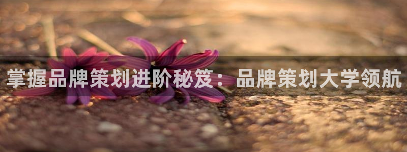 美高梅官网