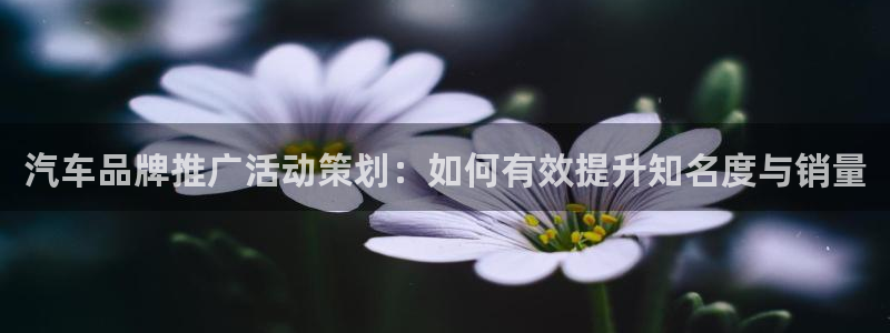 mgm美高梅官网版安卓版