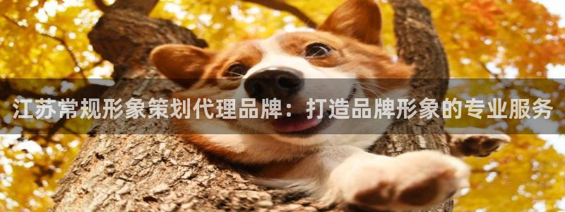 美高梅3澳门开户